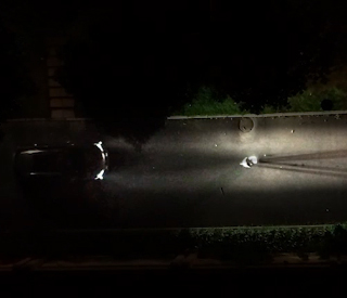 雅居樂(lè)同理心——喂貓老人篇