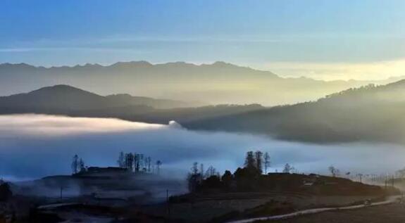 在最美的季節(jié)遇見你 雅居樂“上山下?！斌w驗(yàn)行