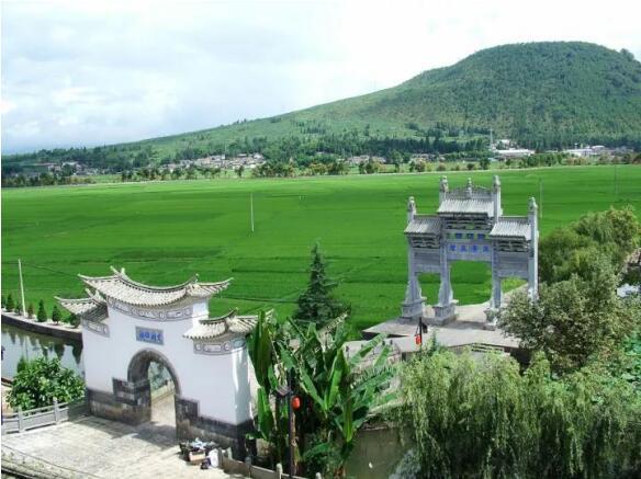 在最美的季節(jié)遇見你 雅居樂“上山下?！斌w驗(yàn)行