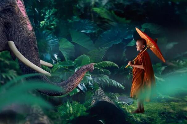 在最美的季節(jié)遇見你 雅居樂“上山下?！斌w驗(yàn)行