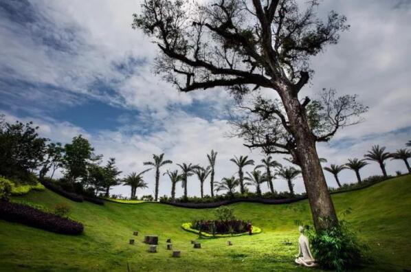 在最美的季節(jié)遇見你 雅居樂“上山下?！斌w驗(yàn)行