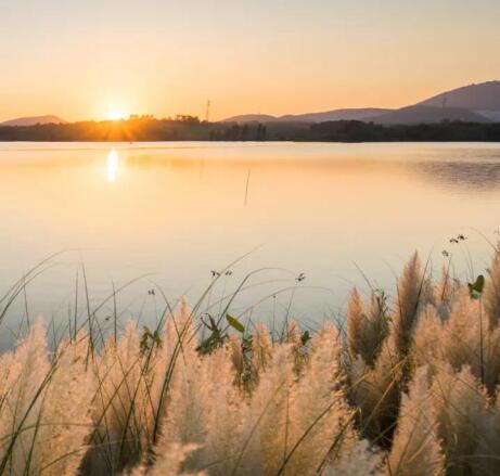 在最美的季節(jié)遇見你 雅居樂“上山下?！斌w驗(yàn)行